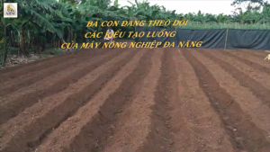 máy AHM thực hiện các kiểu tạo luống