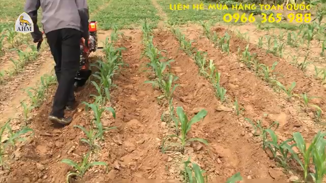 máy AHM vun gốc các loại