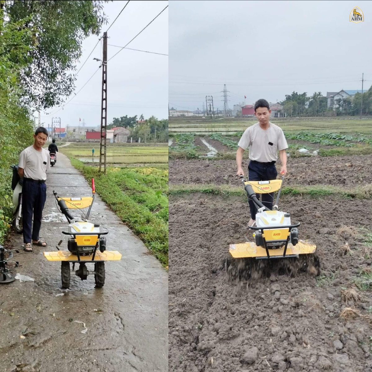 Chọn ngay máy HAM 5C225 KS làm ruộng màu