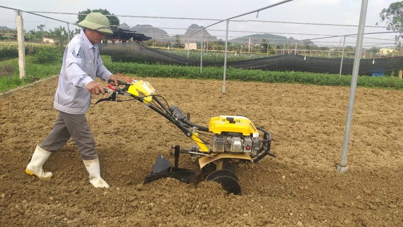 máy xới đất