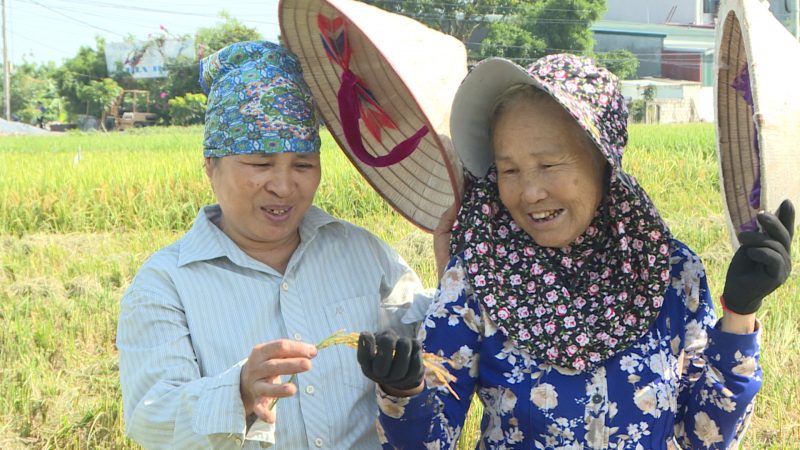 máy nông nghiệp